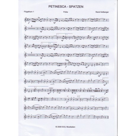 Petinesca-Spatzen