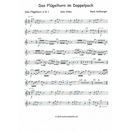Das Flügelhorn im Doppelpack