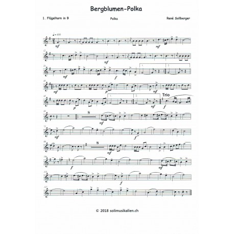 Bergblumen-Polka