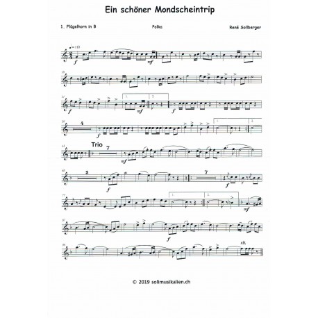 Ein schöner Mondscheintrip