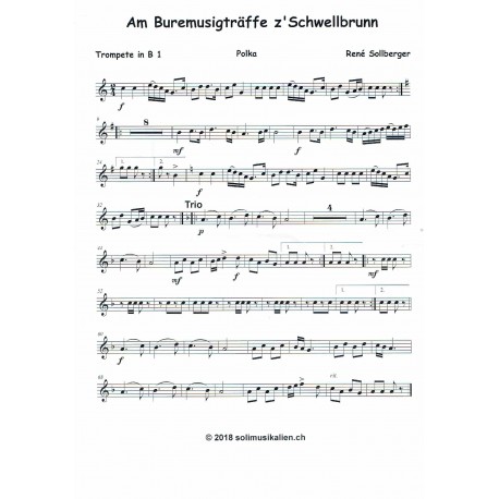 Am Buremusigträffe z' Schwellbrunn